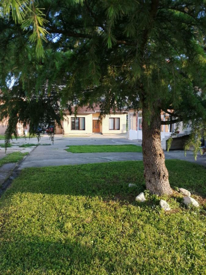 Apartman Studio Katarina Golubac Exterior foto